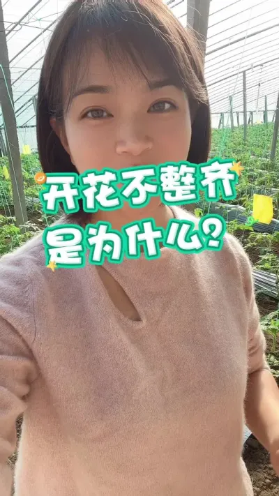 ##ݪֲ#ŻЧ ##¼ҵݪֲ עղص@С