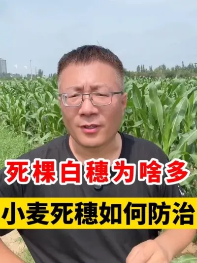 СðʲôԵԭ #Сݪֲ #С #С߲ #С׷ #С