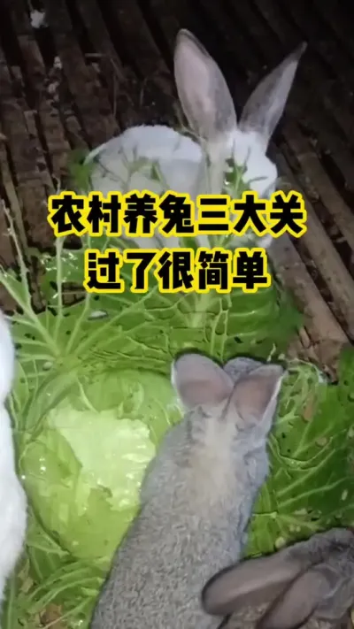 ũ����������������˺ܼ���#������ũ#��ֳ#����