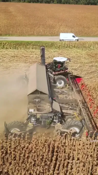 1975NexatһҲȫ㶨