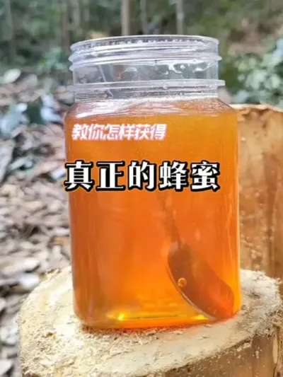 �����ķ��� һ����Ƶ����������ô���ķ���#����ȻҰ������ #�������շ��� #��ũ������2025