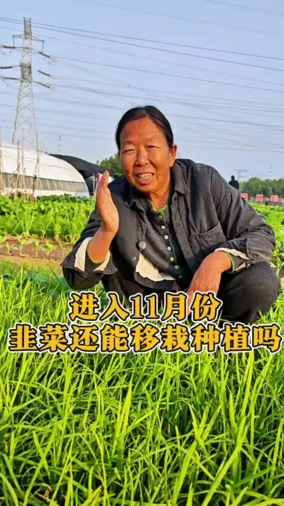 11·ݾ²˻ݪֲ ²˽#²ݪֲ #߲ݪֲ # #ũ