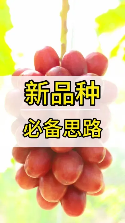 Ʒ  #ݪֲ #ũ2022 #õ #ũ #ũ