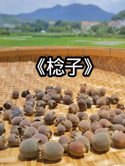 ժ ɽϵҰȳȥժһЗҽ#Ȼζ #ҵ #ũ2025