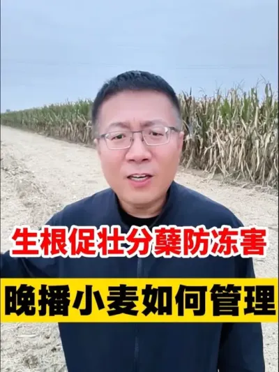 ׳ٷС #Сݪֲ #С #С߲ #С #С