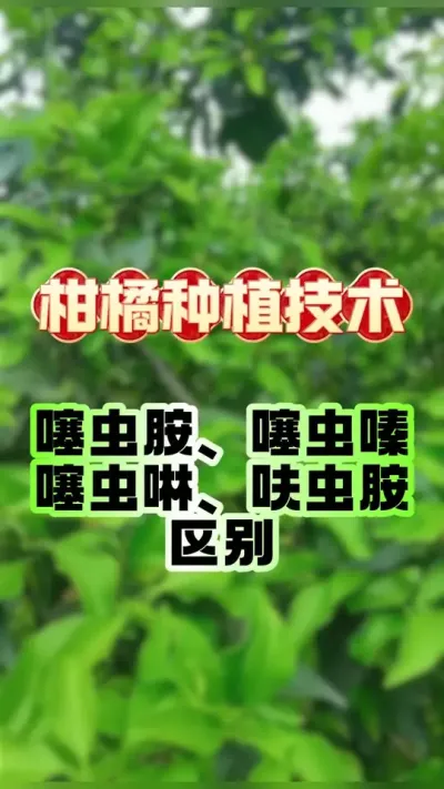 #dou上热门 噻虫胺、噻虫嗪、噻虫啉、呋虫胺的区别#柑橘种植 #农药 #科学用药