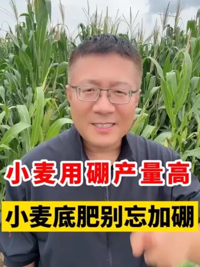 СС׷һӵ #Сݪֲ #С߲ # #С #Сݪֲ