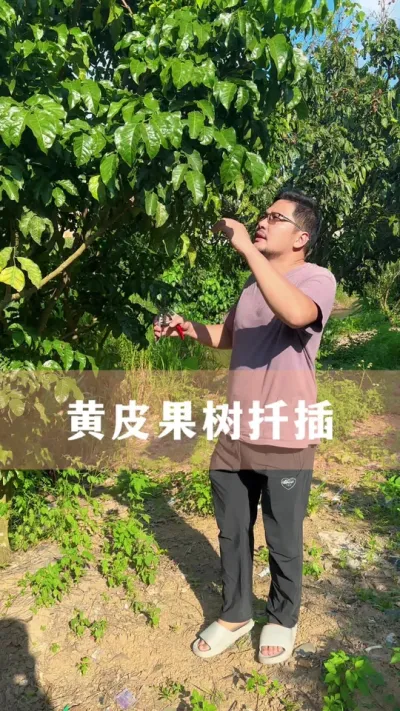 ƤǤҪ#ֲ #С֪ʶ #İ