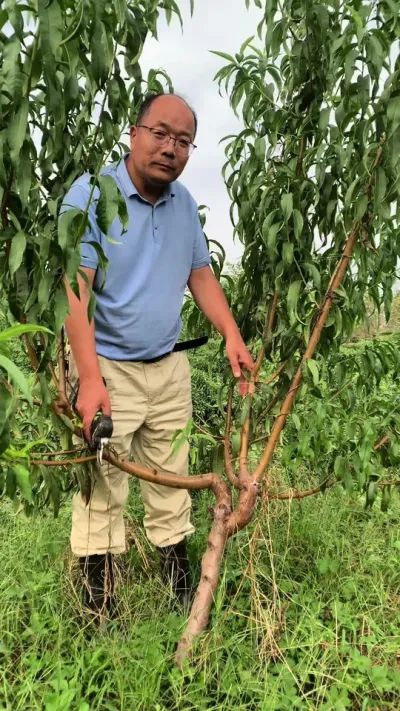 30޼һ 2025.9.22ôεġ＾#޼ #޼