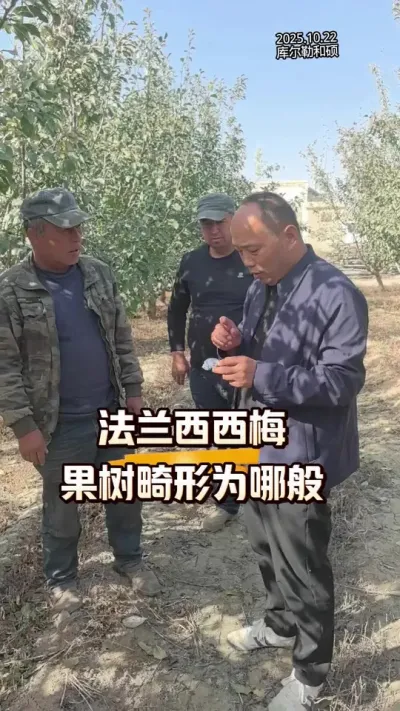 ÷ʵΪİ#ũ#ũշͬ#÷ݪֲ#ʵ