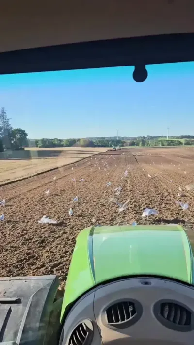 1969ũҵȻ̬Ĺ淶̬ط