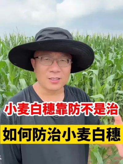 Сð #Сݪֲ #Сݪֲ #С߲ #С #С