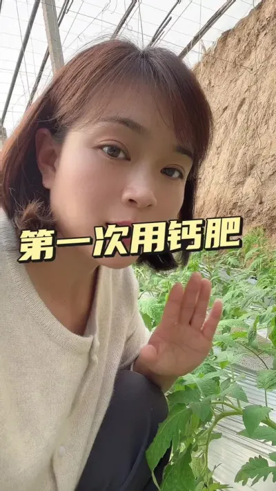 #Ʒ##󋠶#ݪֲ# Ҫ͵СƳ@С