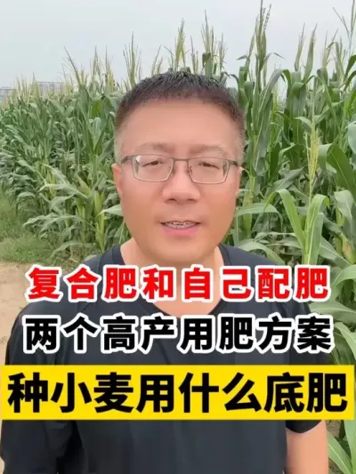 С߲׷ʼƻʡǮָ߲ #С߲ # #Сݪֲ #С׷ #ũҵ֪ʶũ @̷ũʣ