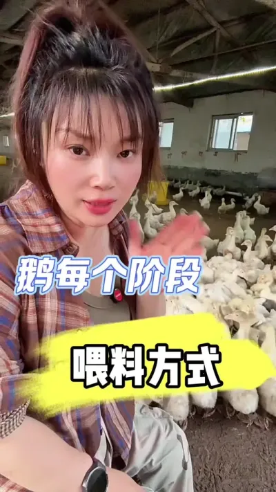 һιһأ##շ #ũ崴ҵֳ