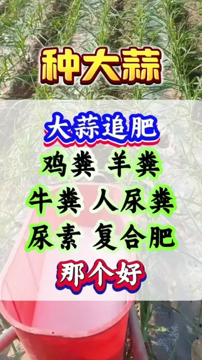 ⳤҶһĵʱʲô׷ʲ#ݪֲ #ִ #Ƥ #߲ #