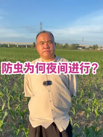 Ϊҹ ӪҲŷ#ũҵݪֲ