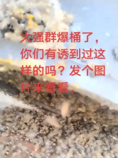 # ##շͰ #Ͱ ĴǿȺյеķͼƬѧϰһ@С @DOU+С