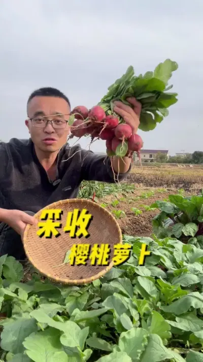 ӣܲ#ͥݪֲ #ֲ #ʲժ #ѧֲ#עһѧֲ