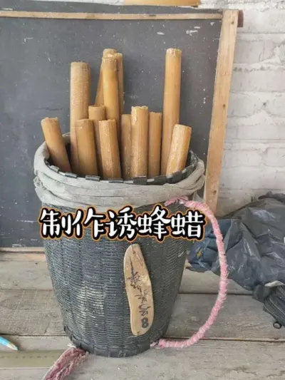 շ Ϊշѷϸ־#շ #ҵ #ũ