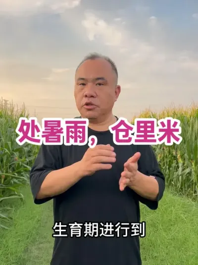  ״󶹲 60  65 ڹཬǰǰֵùϲ#ũҵݪֲ