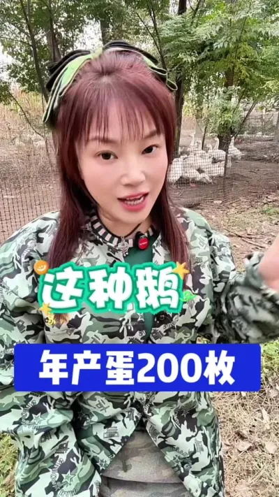 ֶ200ö# #շ #ũ崴ҵֳ