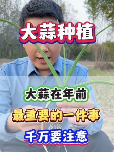 ǰһҪ£ #ݪֲ #и߲ #ݪֲ # #ũҵݪֲ