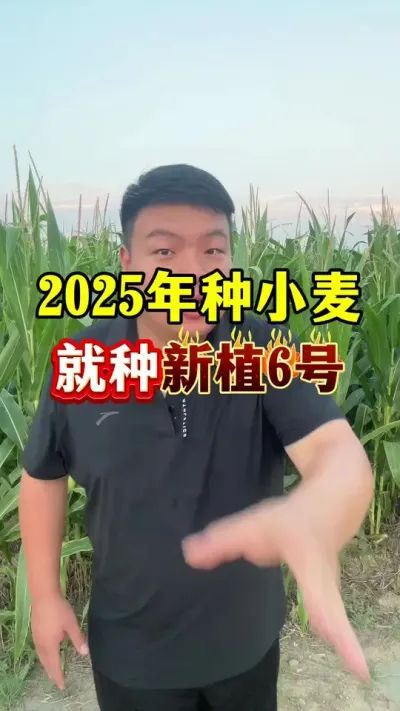 ѡСƷֵעˣ #Сݪֲ #ֲ6 #С߲Ʒ