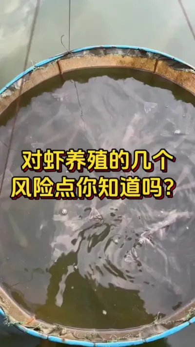 对虾养殖的几个风险点，你知道吗？#水产人 #养虾人 #南美白对虾 #嘉骏集团 #嘉骏新水产