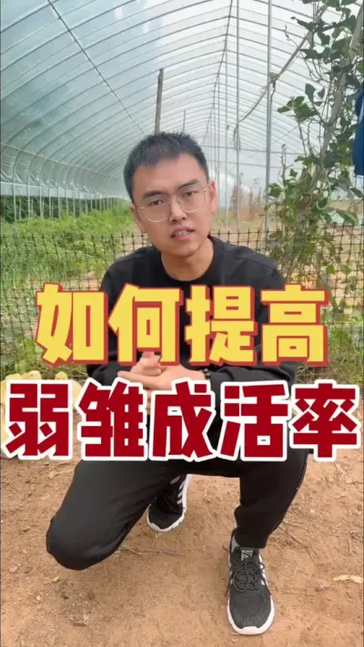 ǲǷÿ춼һЩϧŻΪţö죡ȵղŻҲˣ# #շ #