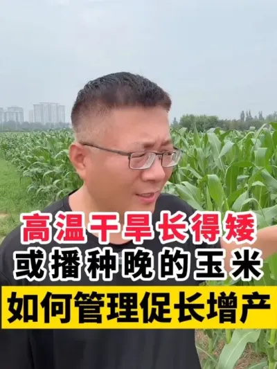 ¸ɺðٳ #ݪֲ #ݪֲ #׸߲ݪֲ #ݪֲ #׸߲ @̷ũʣ