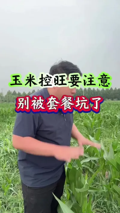 ׿ҪעأײͿˣ #ũҵݪֲ #ݪֲС #ݪֲ #׿