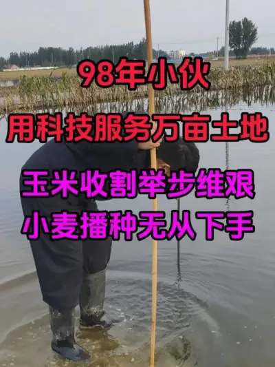 98СÿƼĶ ʮ겻ũҵԽԽ#ũҵݪֲ # #Сݪֲ