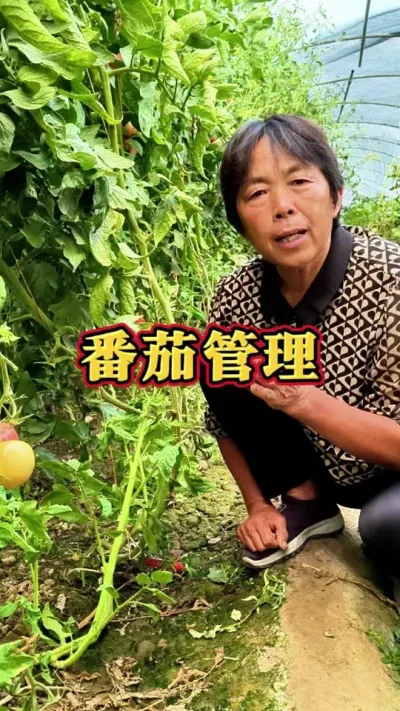 ﷬Խ÷Ͽ÷֦#ũ # #߲#ݪֲС @С @DOU+С @DOU+