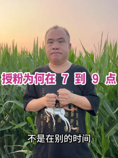 ڷΪ 7  9  ⡢̼Ũڡָ 7  9 ׾ڴڷЧߣ#ũҵݪֲ