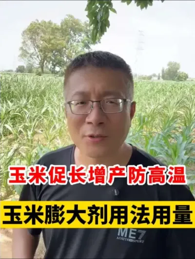 ״ٳȺͺ⻨а鴼 #ݪֲ #ݪֲ #׸߲ݪֲ #ݪֲ #а鴼