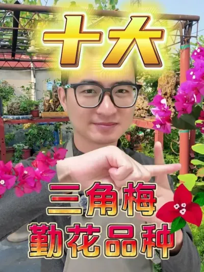 ʮ÷ڻƷ֣ #  #ڻ÷  #÷