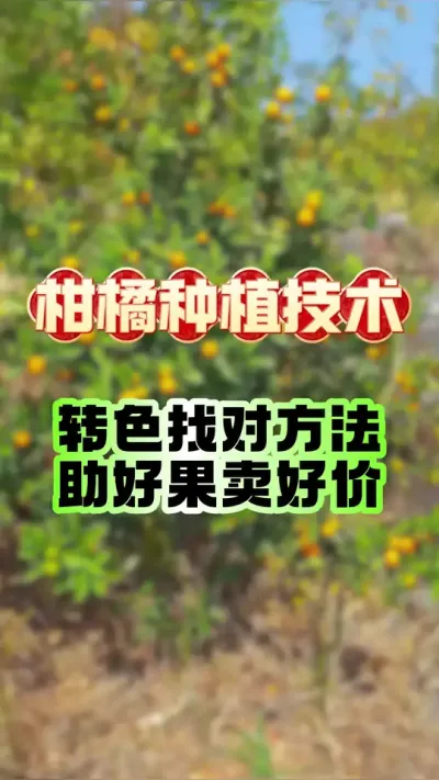 תɫҶҪʡʱʡʡǮ#ݪֲ #ٹ #תɫ #԰