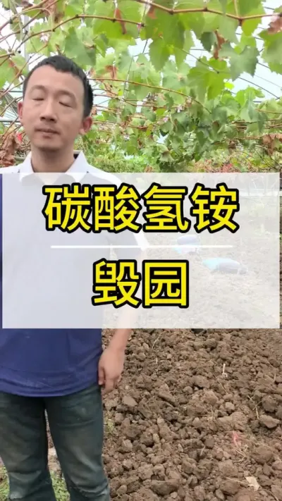 ̼ ԰ #ݪֲ #ũ2022 #õ #ũ #ݪֲ