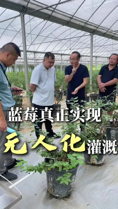 #ݪֲ˻ #AI #Ƽı #ˮһ廯 ǵAIϵͳݮϰʵ˻