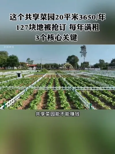 ԰20ƽ׵С԰һ3650127ÿ⣡ô#԰ #ũ #ũ #ũ #ũҵ