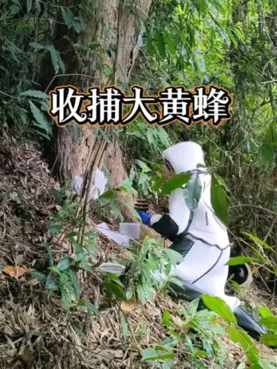 ղƷ ԭ۷ķͰһѴƷֻܰѴƷջȥ#ڶ #ҵ #ũ