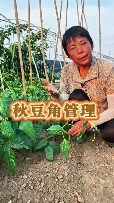 ﶹǹС# #ũ #ݪֲ #߲  #ݪֲС @DOU+С @DOU+ @С