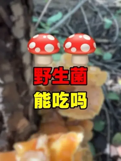 ?Ұ˼С˶ #Ұ#Ұж #Ұжþ #֪ʶ