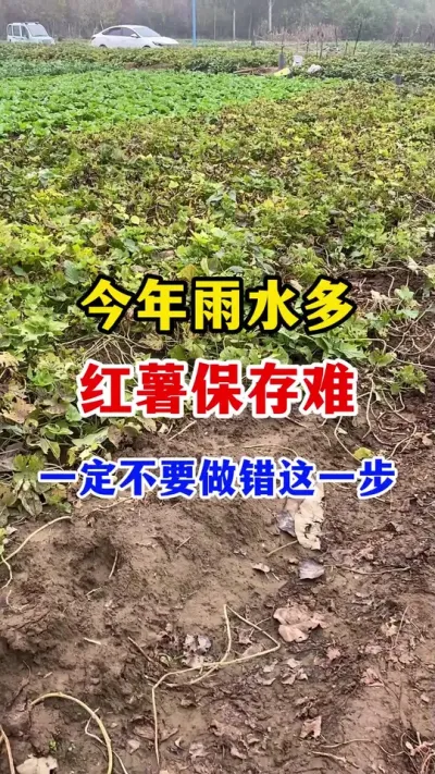 #ݪֲ###߲#ũҵ֪ʶũ