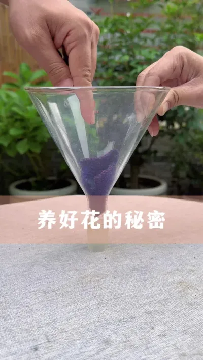 ǷҪ #ֲ #İ #С֪ʶ