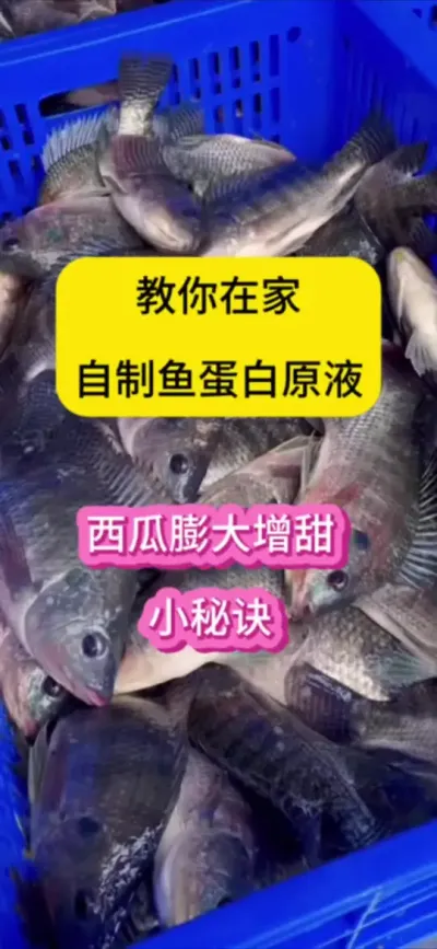 #ũҵ #ũҵݪֲ #ũҵֲ֪ʶ