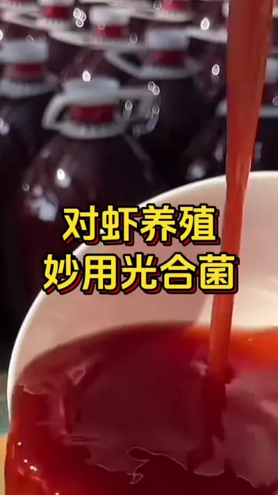 #οˮ#ο#׶Ϻֳ#ĶϺ