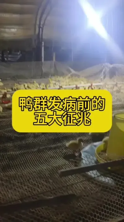 #Ѽ #Ѽ #Ѽ #Ѽֳ #Ѽ