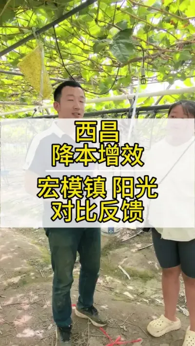 ƻũ #ݪֲ #õ #ݪֲ # #